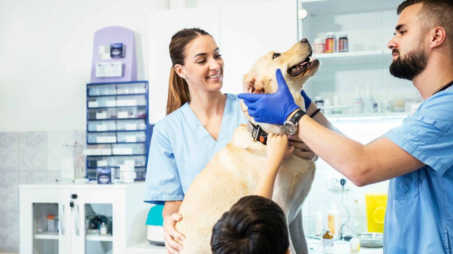 Veterinarian, nurse, and boy examine a dog in a clinic, showing a caring, professional environment