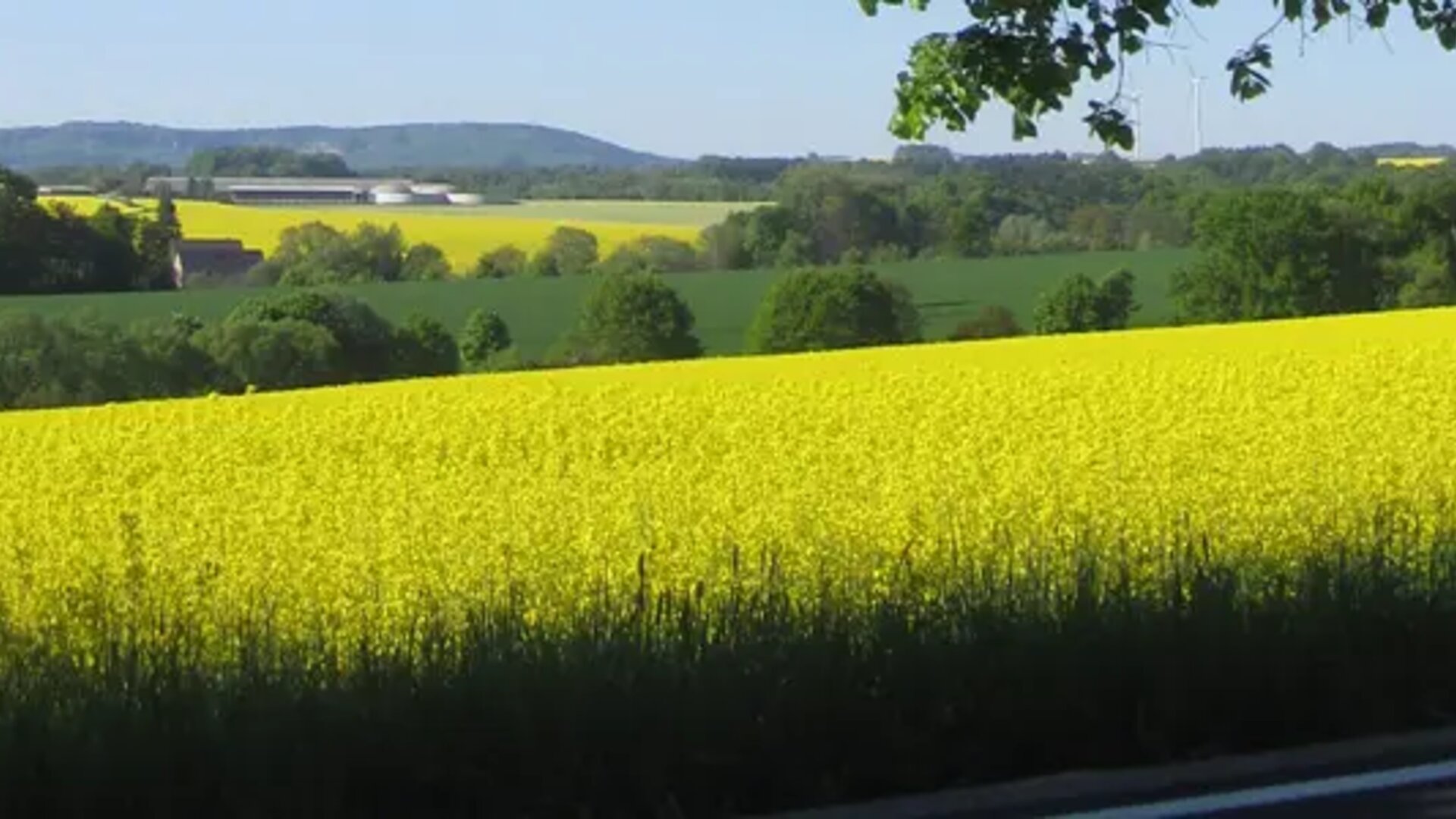 nature-view-agrofert