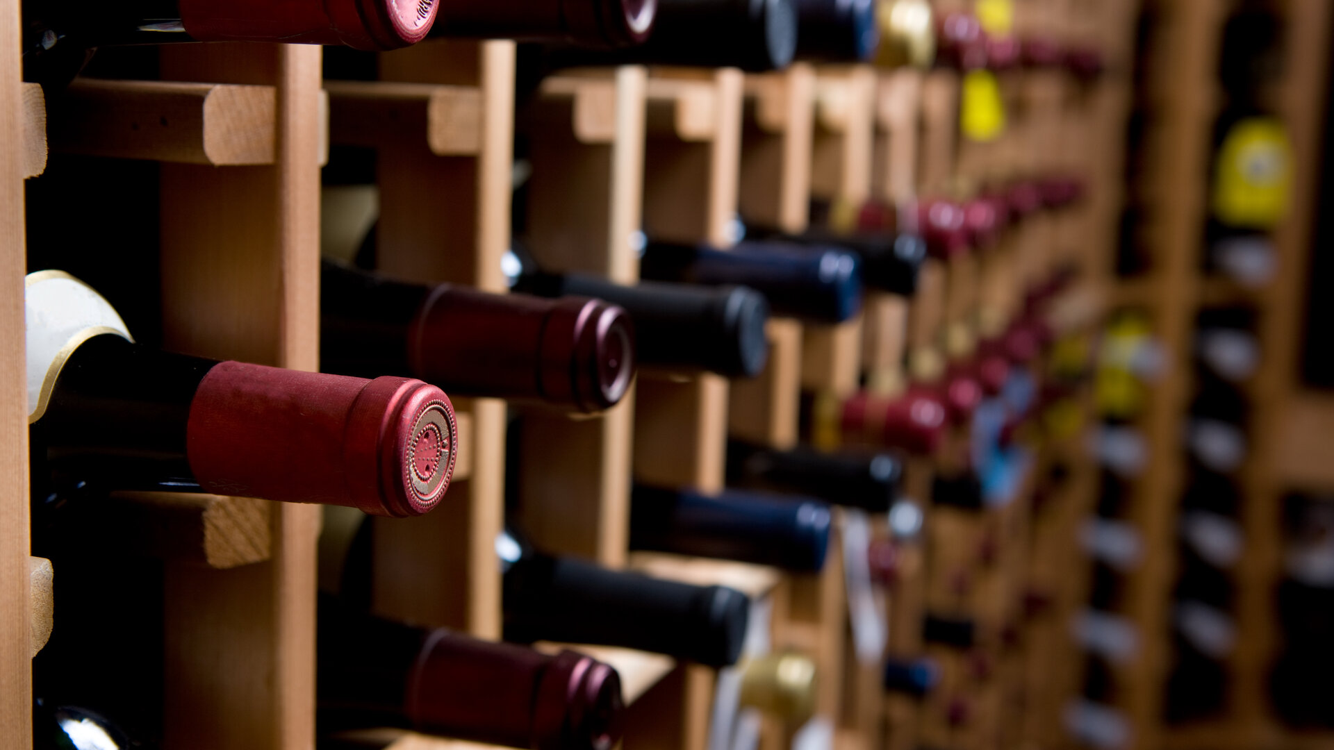 wine bottles in the wine rack