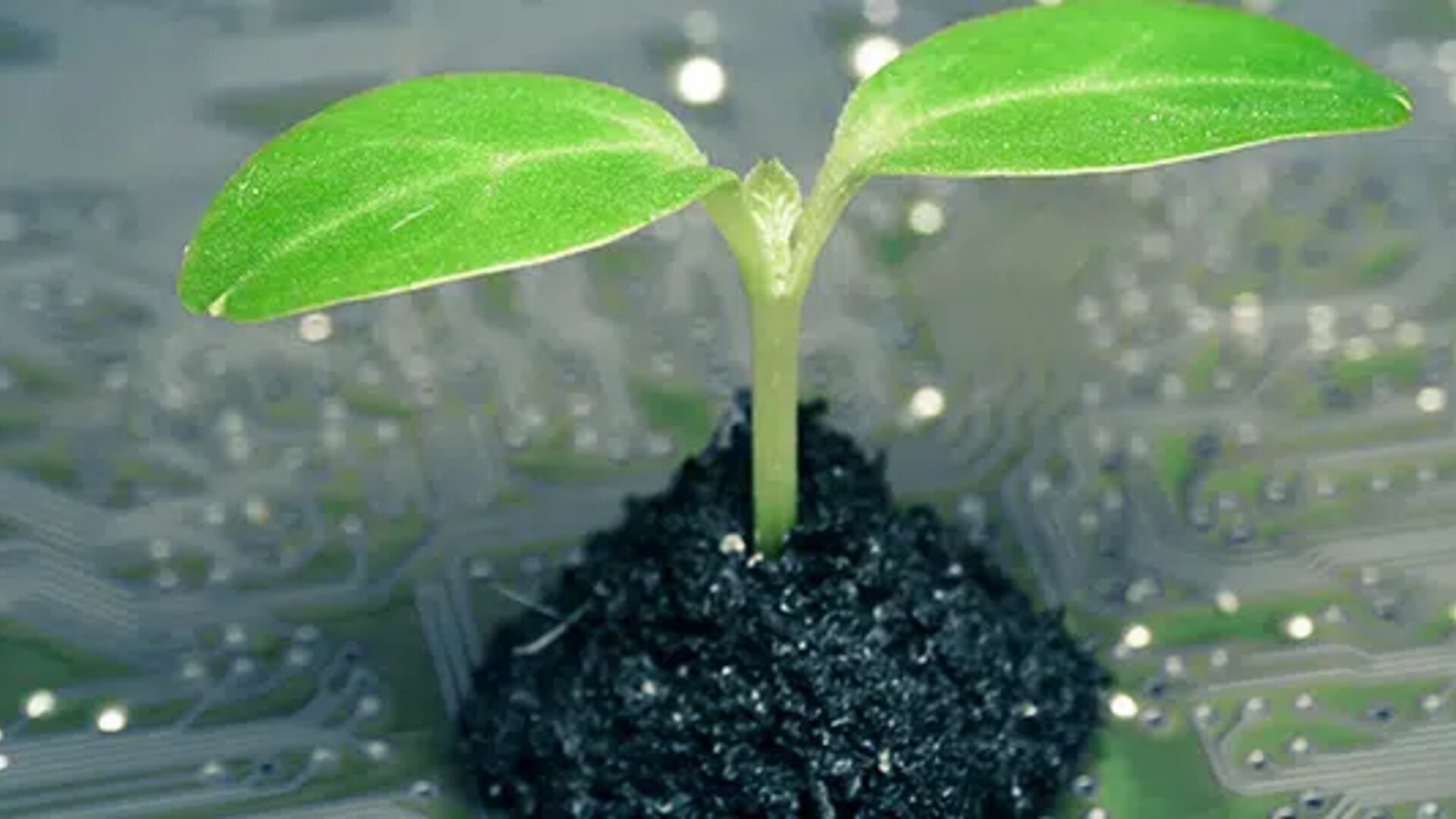 Small green plant sprouting from soil on a circuit board, symbolizing nature and technology connection